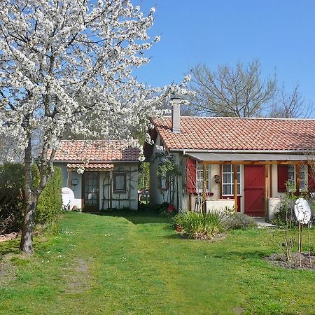 Guesthouse La Burle Parentis-en-Born Quarto foto