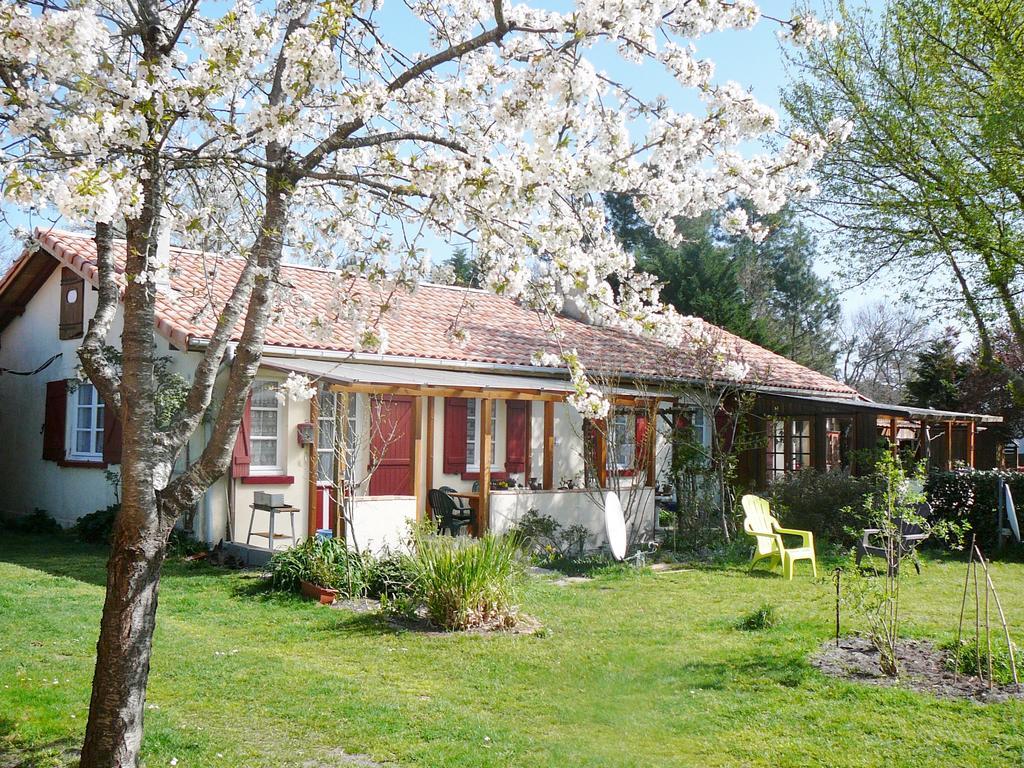 Guesthouse La Burle Parentis-en-Born Quarto foto