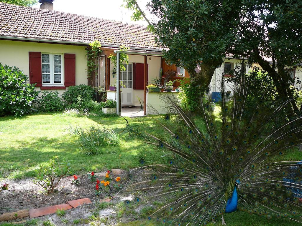 Guesthouse La Burle Parentis-en-Born Exterior foto